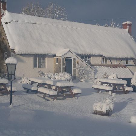 Compasses Inn Tisbury Ngoại thất bức ảnh