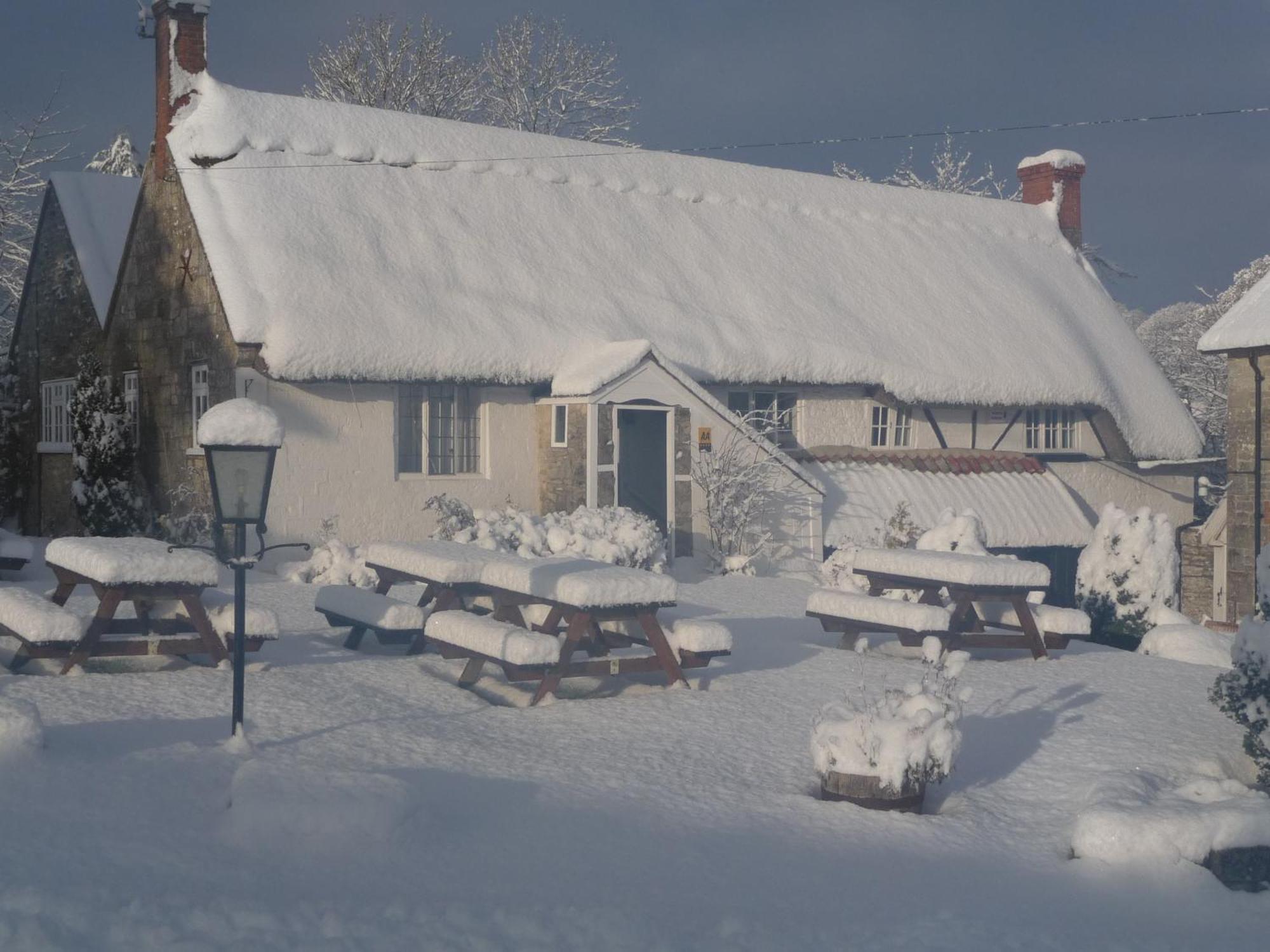 Compasses Inn Tisbury Ngoại thất bức ảnh